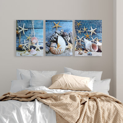 Highland Dunes Piece Starfish And Seashells On Beach Wayfair